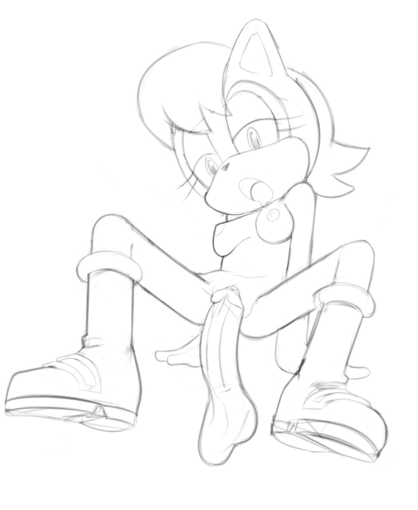 Sally Acorn (Sonic (Series)) Rule 34 Image