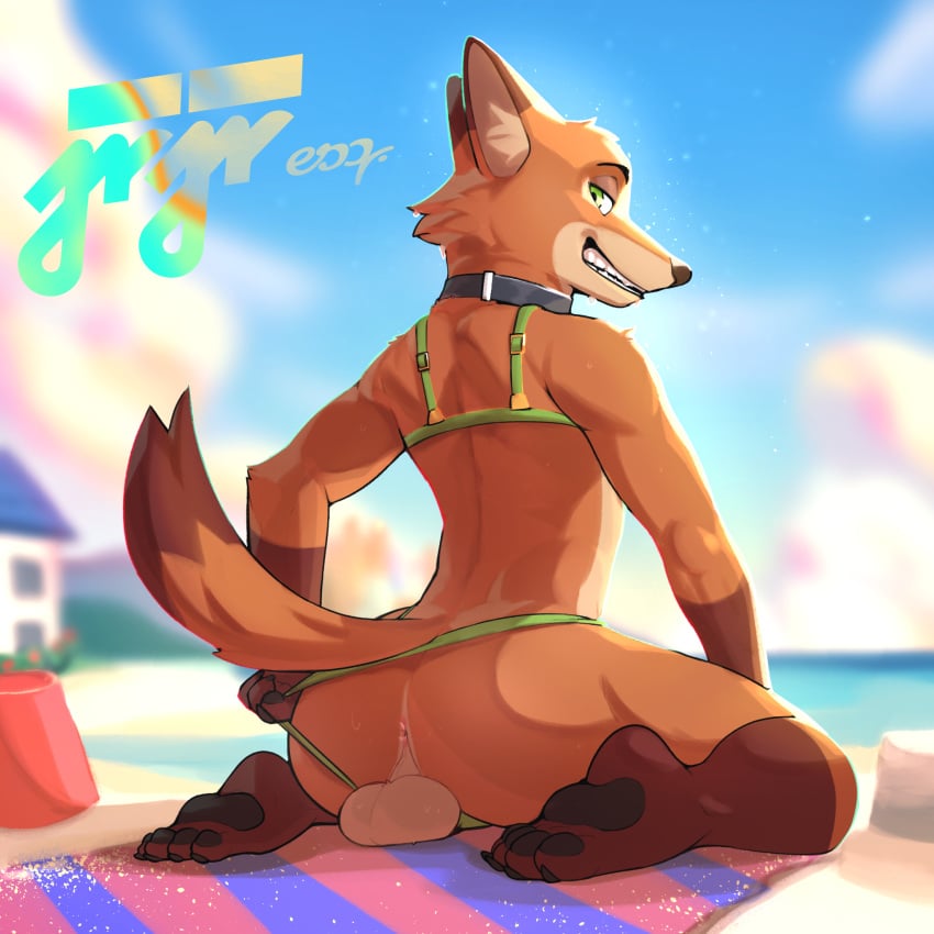 anthro anus balls beach bikini canid canine clothing disney fox genitals hi_res jrjresq male male_only mammal mostly_nude nick_wilde only_male smile solo solo_male swimwear two-piece_swimsuit zootopia