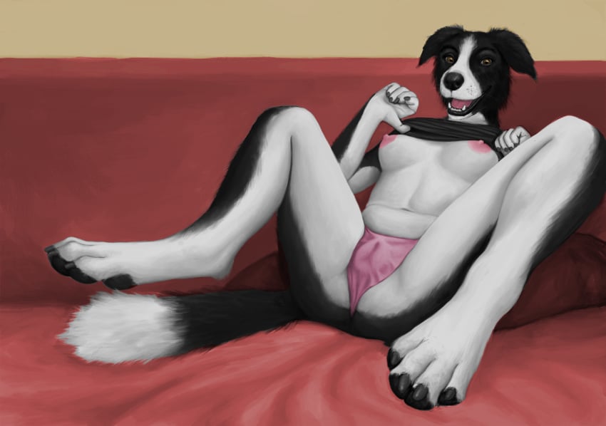 animal_genitalia animal_pussy anthro border_collie breasts cameltoe canine canine_pussy clothing collie female mammal morticus nipples panties solo spread_legs spreading underwear