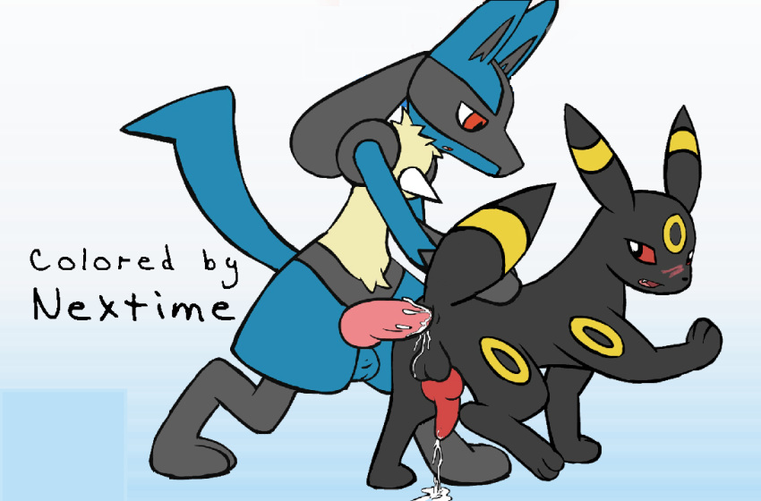 anal anal_sex animal_genitalia animal_penis balls canine_penis cum cum_in_ass cum_inside cum_on_balls cum_on_ground eeveelution knot lucario male nextime nintendo penetration penis pokemon pokemon_(species) red_eyes umbreon video_games yaoi