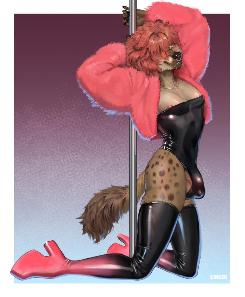 1boy 2d amber_eyes anthro artist_request balls brown_body brown_fur bulge clothed clothing ear_piercing facial_piercing fedotovskih(ginger) femboy fluffy fluffy_tail footwear fur genitals glistening glistening_body hair hair_over_one_eye hi_res high_heel_boots high_heels hyena latex latex_clothing latex_legwear latex_leotard latex_stockings legwear leotard looking_at_viewer male male_only mammal markings nipple_piercing nipples nose_piercing nose_ring original original_character penis piercing piercings platform_heels pole pole_dancing pose prostitution puffy_jacket red_hair rhette(chezzy12) septum_piercing shoes simple_background skimpy smile solo spots spotted_body spotted_fur spotted_hyena stockings stripper stripper_pole striptease tagme_(artist) tail tan_body tan_fur thigh_boots