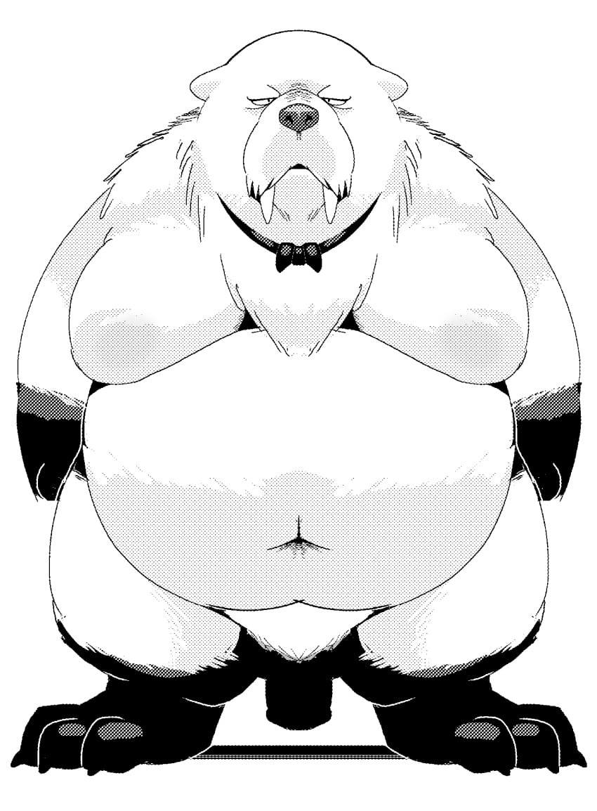 1boy 2024 anthro belly big_belly bond_(spy_x_family) bow_tie canid canine canis domestic_dog fat fat_man genitals hi_res kemono male male_only mammal moobs navel nipples overweight overweight_male penis sigenoya simple_background solo spy_x_family takotyutyu