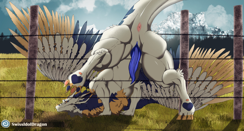 absurd_res angel_dragon anus blue_body blue_fur blue_penis blueberry_(smolderg) cloud detailed_background dragon fence feral feral_only fur genitals grass hi_res horn large_wings looking_at_viewer male male_only mountain multicolored_toes muscular neck_tuft penis plant slit solo stuck tapering_penis tuft vitor_swissidoldragon white_body white_fur wings yellow_body yellow_eyes yellow_fur