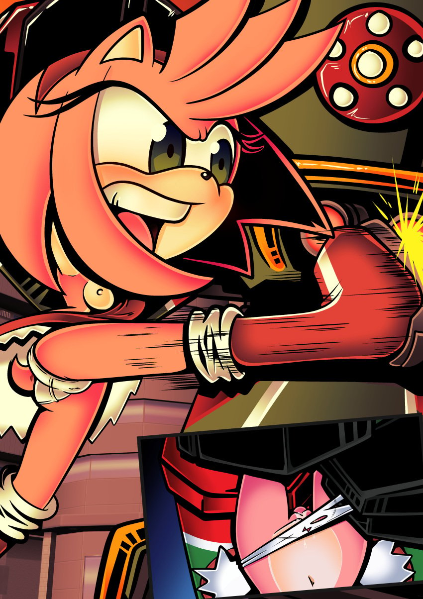 amy_rose breasts female furry pix-n-tix pussy robot sega sonic_(series) torn_clothes zero_(sonic)