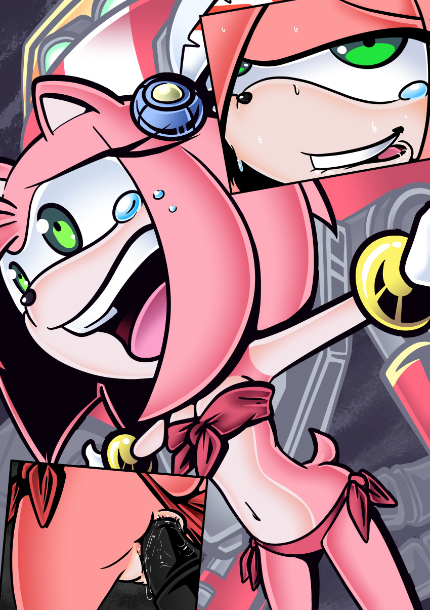 amy_rose anal_sex anus ass bikini biting_lip breasts e-102_gamma female furry looking_pleasured pix-n-tix pussy robot sega sonic_(series) sonic_the_hedgehog_(series) sweat tears