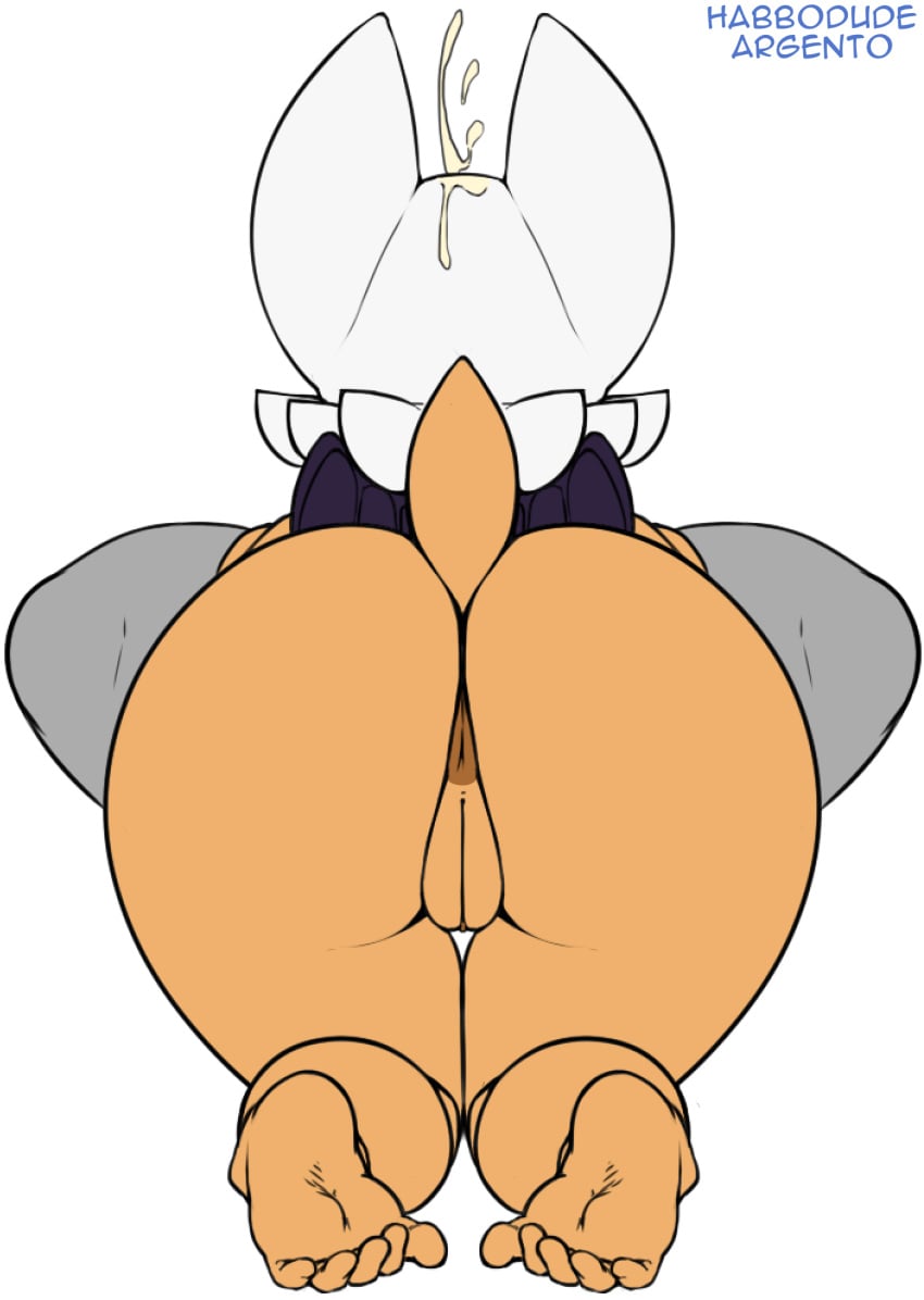 Rouge The Bat (Sonic (Series)) Rule 34 Image