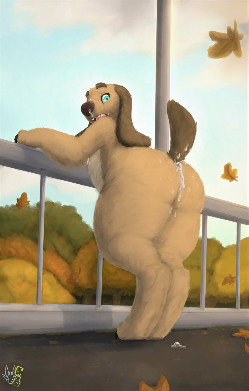 Ass Rule 34 Image