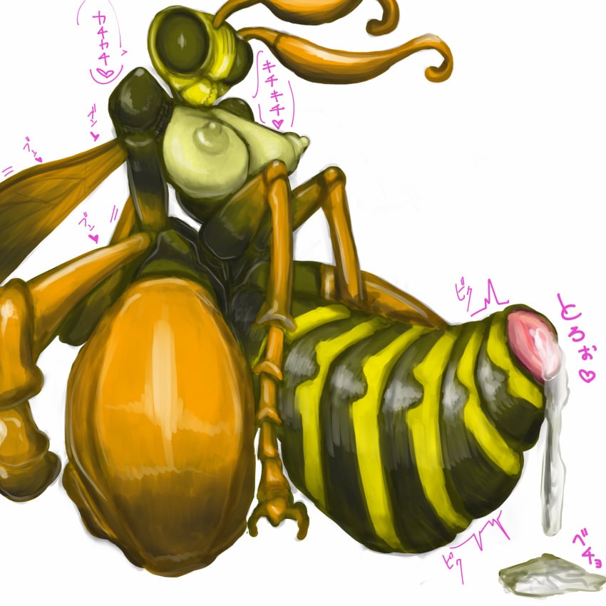 1:1 after_sex antennae_(anatomy) anthro areola arthropod arthropod_abdomen arthropod_abdomen_genitalia arthropod_abdomen_pussy big_breasts bodily_fluids breasts compound_eyes cum cum_drip cum_in_pussy cum_inside cum_on_ground dripping erect_nipples exoskeleton female genital_fluids genitals heart hi_res huge_breasts hymenopteran iikanji insect_wings insects kneeling mandibles multi_leg multi_limb nipples non-mammal_breasts nude pink_pussy puffy_areola pussy simple_background small_waist solo thick_thighs wasp white_background wide_hips wings