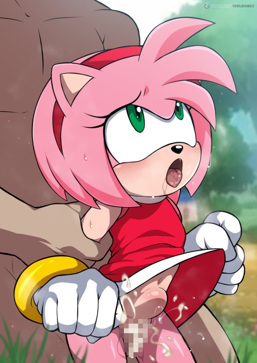 Amy Rose (Sega) Rule 34 Image