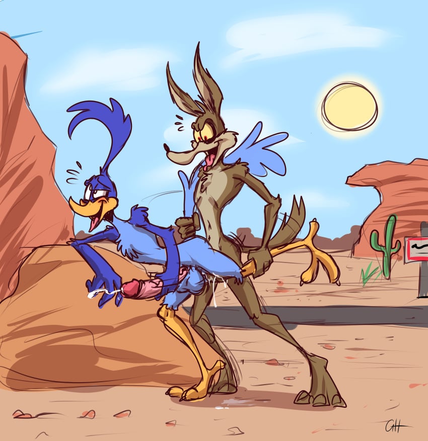 Road Runner (Looney Tunes) Rule 34 Image
