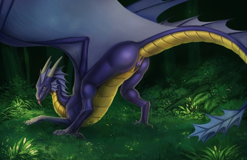 ass blue_body blue_scales dragon female feral genitals grass hi_res looking_at_viewer membrane_(anatomy) membranous_wings mythological_creature mythological_scalie mythology pink_pussy plant presenting presenting_pussy pussy scales scalie solo ventral_scales wings yellow_body yellow_scales ztalex