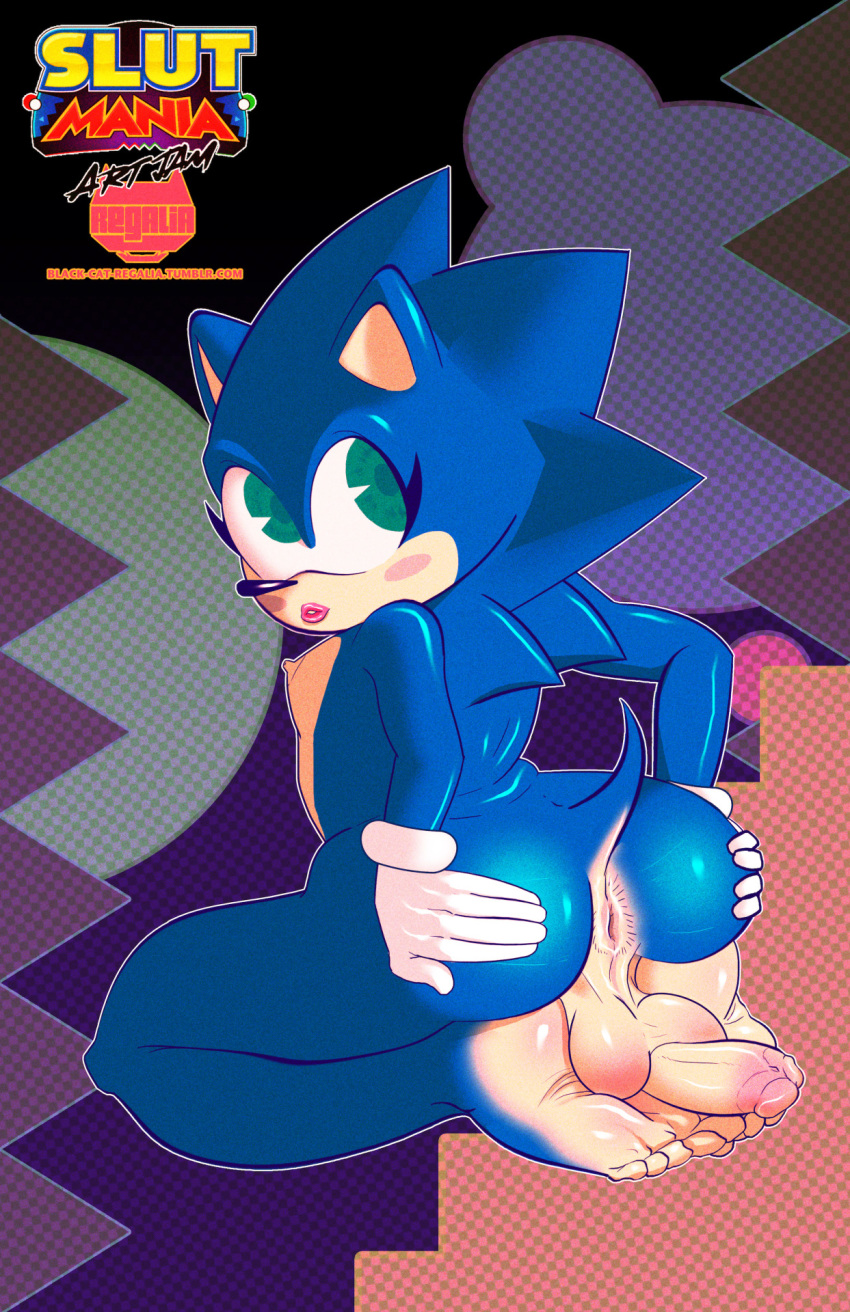 anus balls blue_fur crossdressing femboy furry girly hedgehog mammal nude penis regalia_(artist) sega sonic_(series) sonic_the_hedgehog spread_ass thighhighs