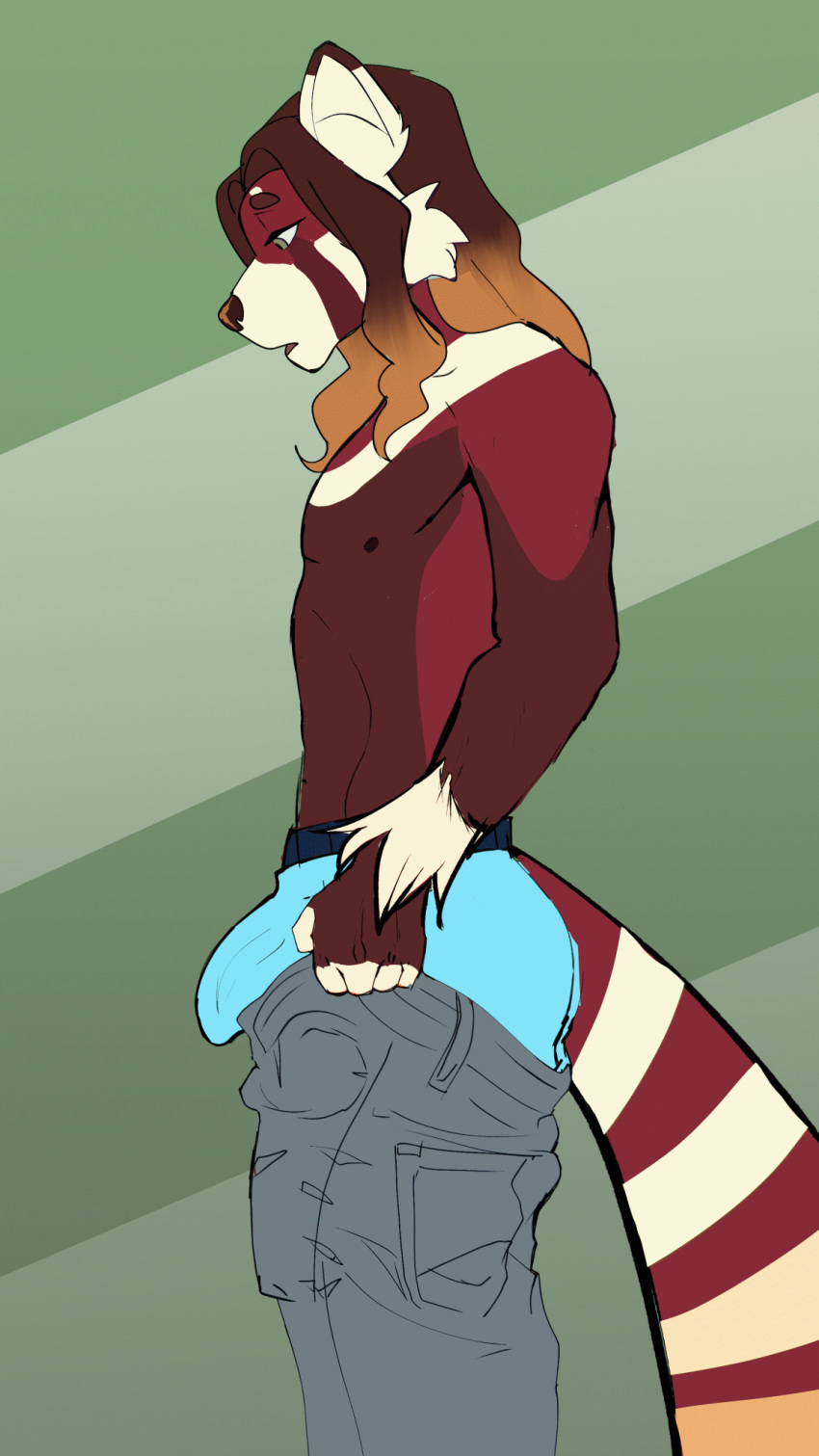 ailurid animated animated_gif bulge clothing furry furry_only gay hi_res hybrid male male_only mammal manebaloart red_panda tams tight_pants_(meme) underwear