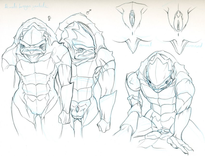 2012 alien anus balls bioware character_sheet clitoris cowgirl_position female krogan large_labia male mass_effect monochrome nude on_top penetration pussy reginaprimata sci-fi science_fiction scifi sex sketch straight vaginal_penetration video_games