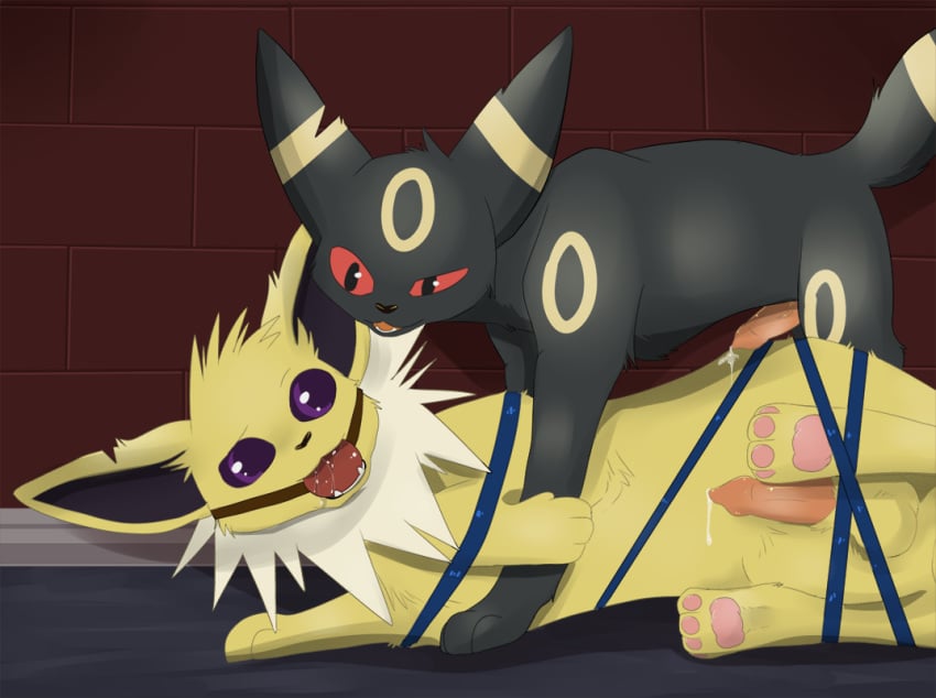 animal_genitalia animal_penis aroused ball_gag bondage bound canine_penis cum_leaking domination eeveelution erection gag jolteon male nintendo penis pokemon rope umbreon video_games watt xxgato yami yaoi