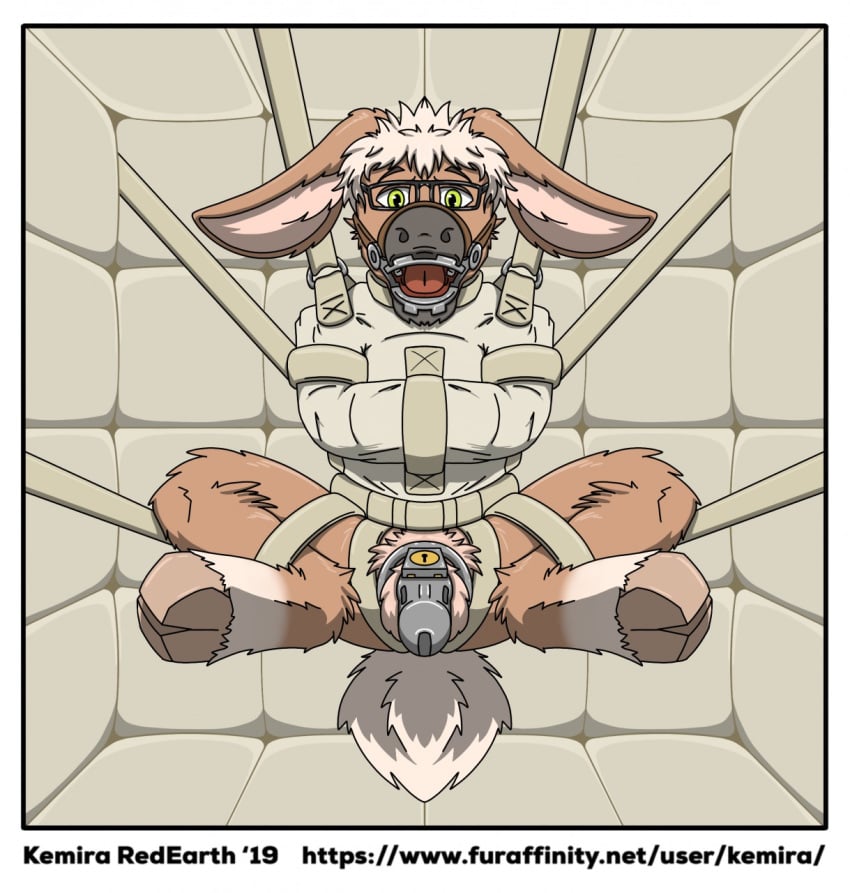 2019 anthro arms_tied artist_name asylum balls blanc_(smorebisonbooty) bondage border bound chastity_cage chastity_device digital_drawing_(artwork) digital_media_(artwork) eyewear floppy_ears fur gag genitals glasses green_eyes grey_nose hair hi_res hooves kemira legs_tied long_ears male metal_chastity_cage open_mouth open_mouth_gag padded_room pig_nose solo straps submissive_male suspension suspension_bondage symmetry symmetry_(reflectional) tan_body tan_fur text ugly url wearing_glasses white_border