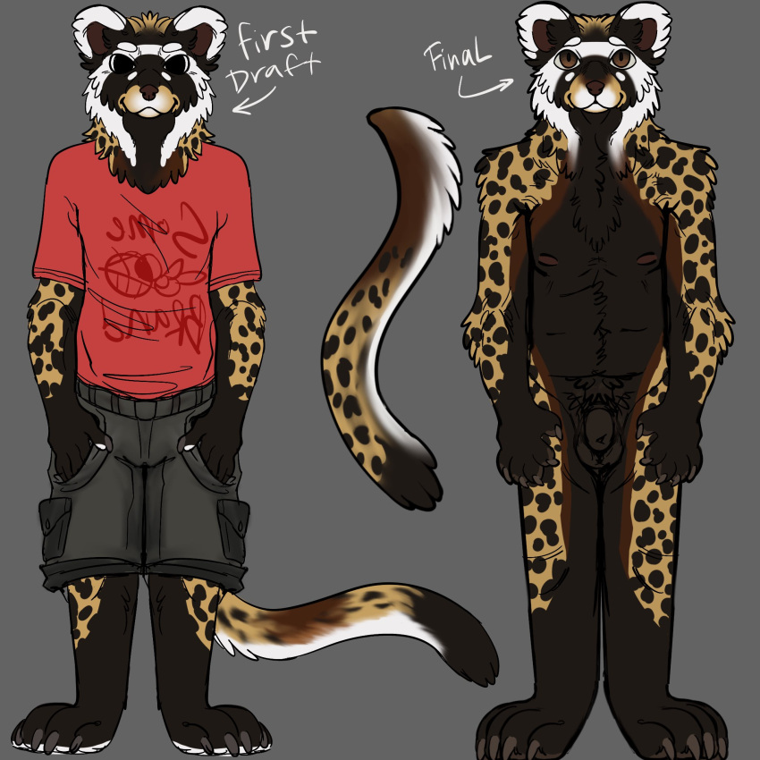 Polecat (Mustelid) Rule 34 Image