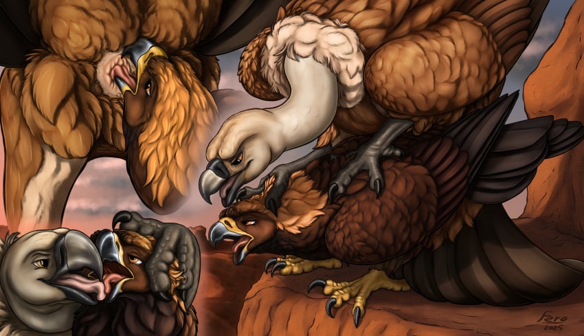 absurd_res accipitrid accipitriform anal anatomically_correct animal_genitalia avian bird cloaca cloacal cloacalingus dominant dominant_male eagle feral ferobird genitals golden_eagle griffon_vulture hi_res interspecies interspecies_domination kissing licking male male/male old_world_vulture oral rimming roy_(ferobird) sawyer_(ferobird) sex submissive submissive_male tongue tongue_out true_eagle vulture