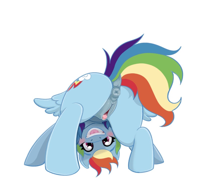 Rainbow Dash (Mlp) Rule 34 Image