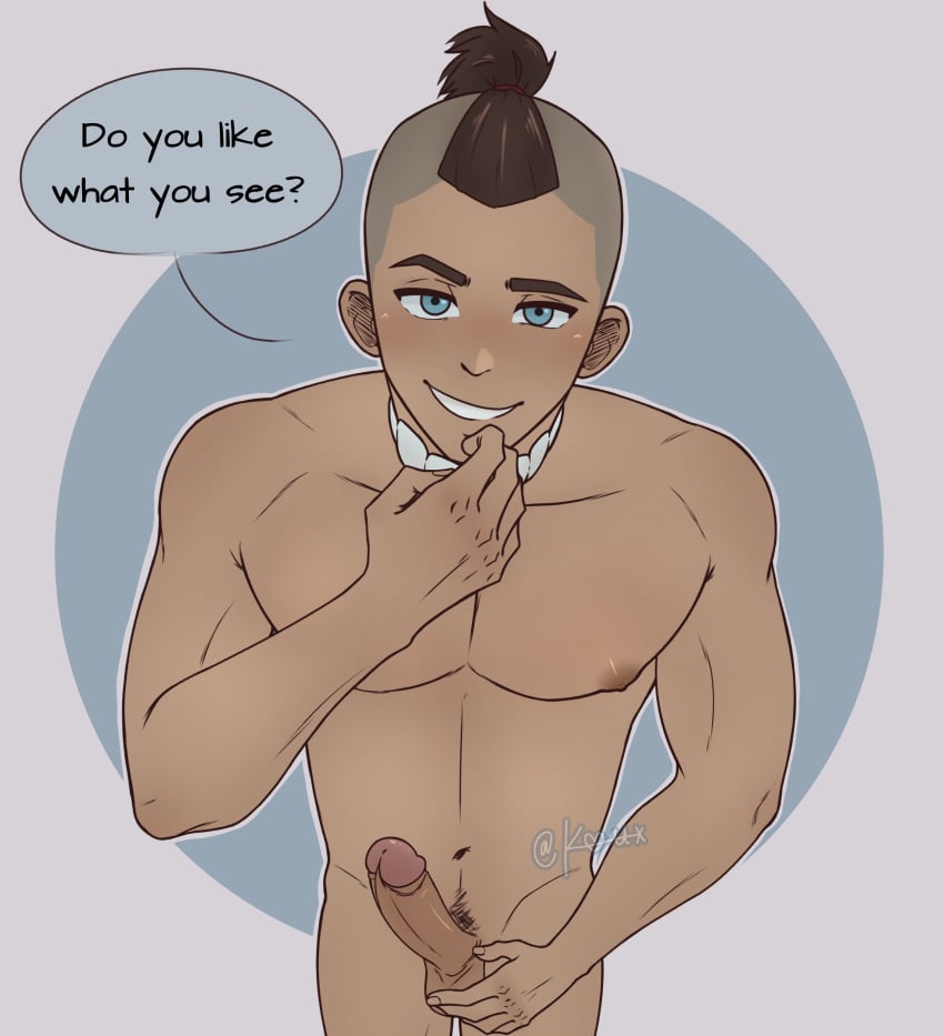 Sokka (Avatar The Last Airbender) Rule 34 Image