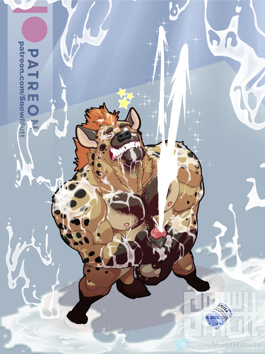 Drakirion Rule 34 Image