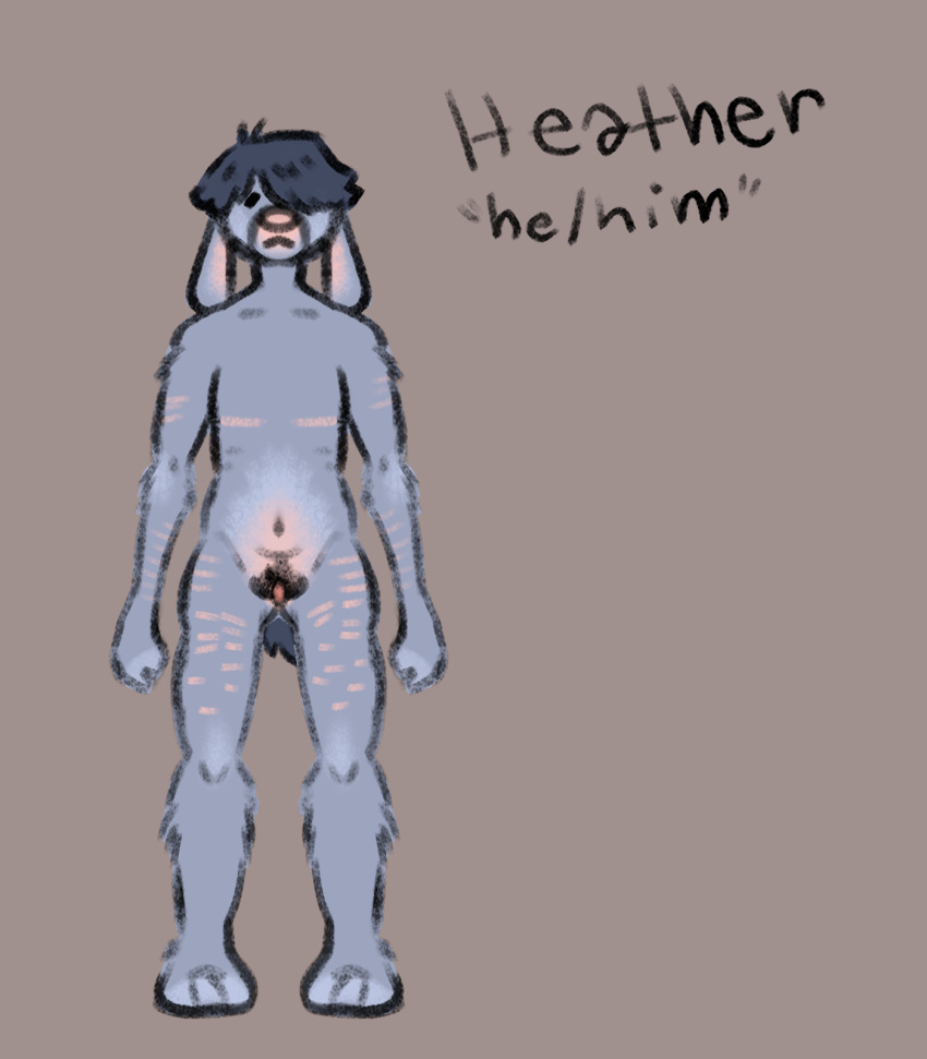 andromorph anthro cumguzzler5669 cuntboy heather_(cumguzzler5669) hi_res intersex lagomorph leporid mammal mastectomy_scar model_sheet neutral_expression nude nude_andromorph nude_anthro pubes rabbit scar self-harm_scars solo standing