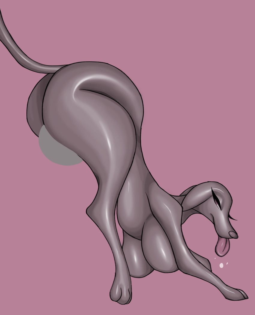 big_ass big_butt feral feral_only feral_with_breasts grey_body humanoid_genitalia rentressy tongue_out weimaraner