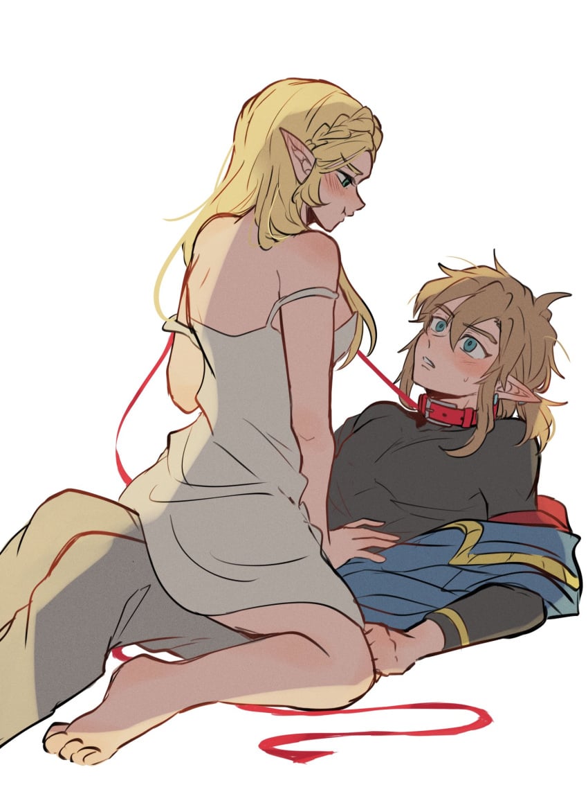 1boy 1girls aorin blush blushing breath_of_the_wild collar female leash link link_(breath_of_the_wild) pout pouting princess_zelda the_legend_of_zelda zelda_(breath_of_the_wild)