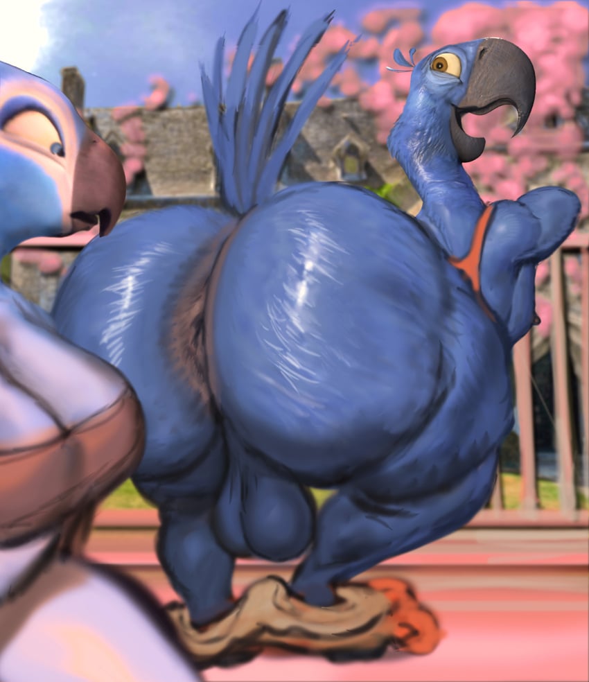 anthro anus ass avian balls big_butt bird blu_(rio) blue_sky blue_sky_studios clothed clothing duo genitals hi_res hohohonse male mostly_nude nipples presenting presenting_anus presenting_hindquarters rio_(series) skimpy sky thick_thighs wide_hips
