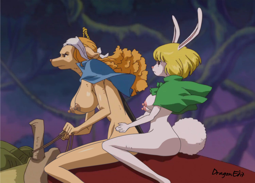 2girls animal_ears anthro areolae bare_legs blonde_hair breasts bunny bunny_ears bunny_girl bunny_tail canine carrot_(one_piece) female female_only furry lagomorph long_hair mink_tribe multiple_girls nipples nude nude_filter nudist one_piece photoshop pussy rabbit screencap short_hair uncensored wanda_(one_piece) white_fur yuri