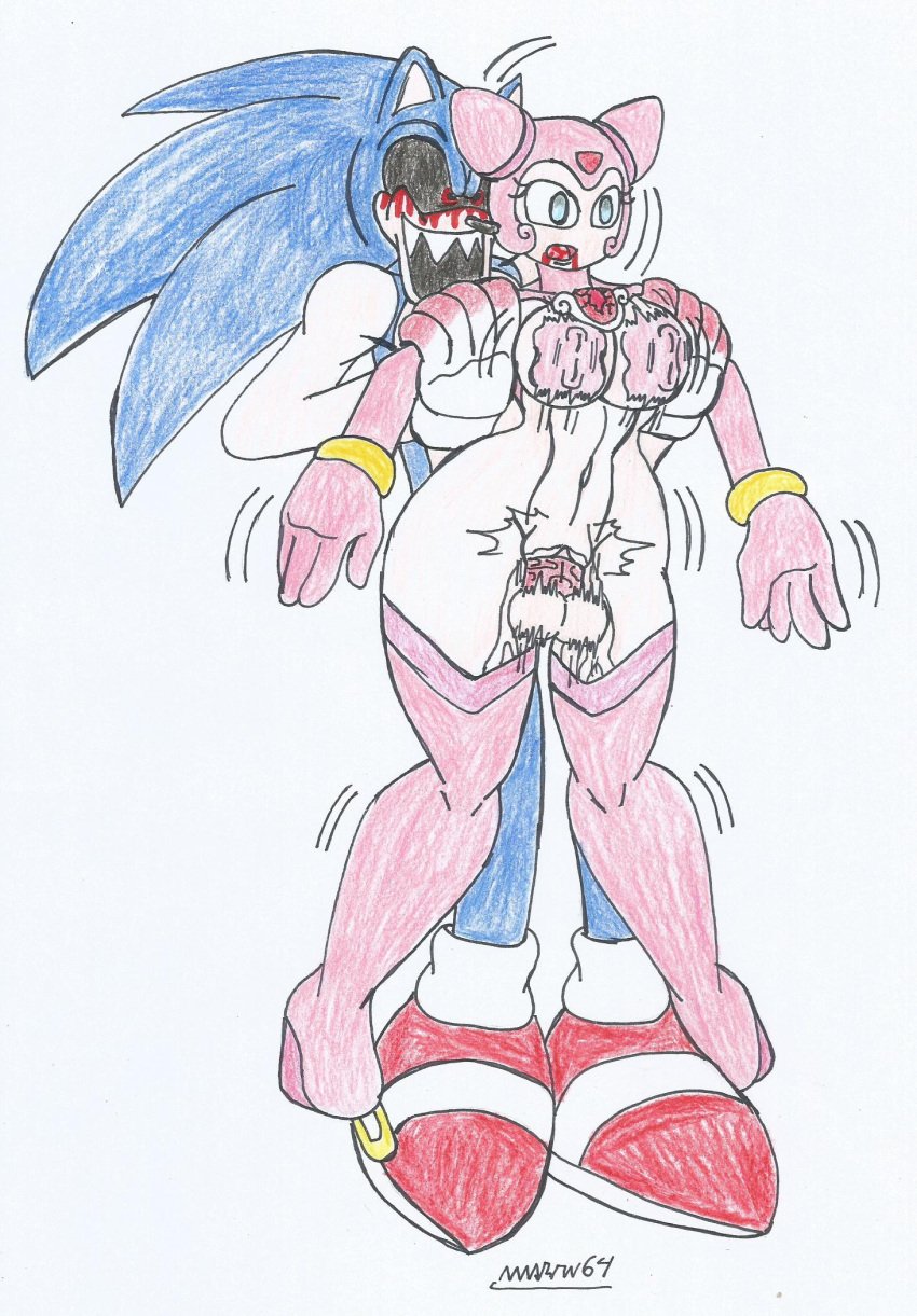 anthro big_breasts big_hips big_penis blood_in_mouth blue_body blue_eyes blue_fur bouncing_breasts bouncing_testicles corpse creepypasta death demon_hedgehog empty_eyes fairy female_death grabbing_arms grabbing_from_behind guro high_heel_boots long_boots long_gloves lumina_flowlight marlon64 naked_boots naked_female naked_gloves necrophilia open_mouth pink_hair sex_from_behind snuff sonic.exe sonic.exe_(character) sonic_(series) sonic_the_hedgehog_(series) standing_sex traditional_drawing_(artwork) white_background