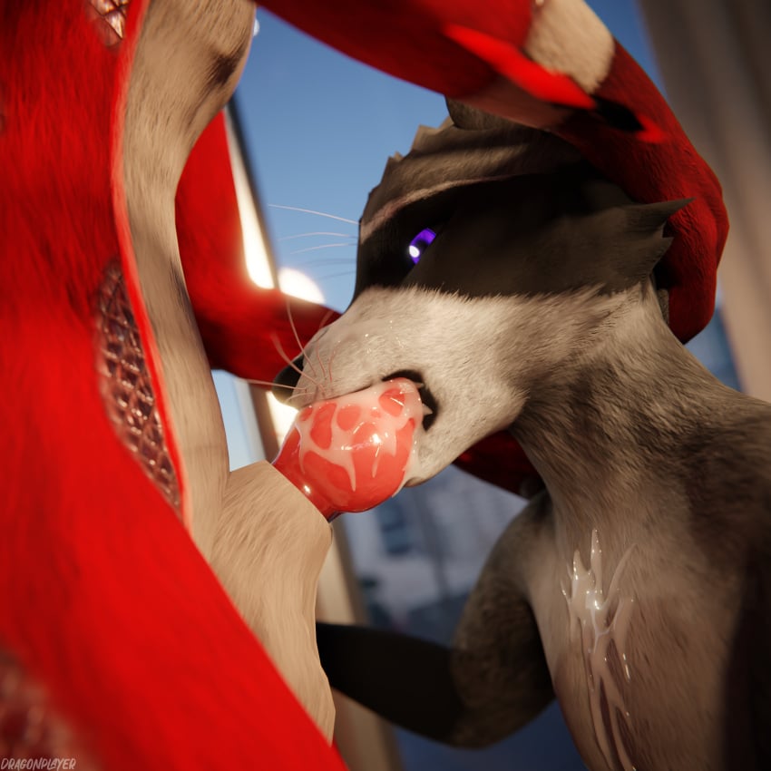 1:1 3d_(artwork) 4k absurd_res animal_genitalia animal_penis anthro anthro_on_anthro anthro_only anthro_penetrated anthro_penetrating anthro_penetrating_anthro balls biped black_body black_fur blender_(artwork) blender_cycles bodily_fluids canid canine canine_genitalia canine_penis canis claws clothed clothing cum cum_drip cum_dripping_from_mouth cum_dripping_from_penis cum_in_mouth cum_inside cum_on_knot cum_on_penis depth_of_field digital_media_(artwork) dominant dragonplayer dripping duo erection fellatio forced fox fur furniture genital_fluids genitals gigi2k grey_body grey_fur hair hand_on_leg hand_on_thigh hi_res hindpaw hybrid inside kneeling knot looking_down lying_on_sofa maalkar male male/male male_penetrated male_penetrating male_penetrating_male mammal multicolored_body on_sofa open_mouth oral oral_penetration orgasm paws penetration penile penis pushing red_body red_fur red_penis reflection rexouium sex slim slim_anthro slim_male slim_sub smile sofa standing standing_sex submissive submissive_male sucking tail tan_body tan_fur teeth toe_claws white_body white_fur