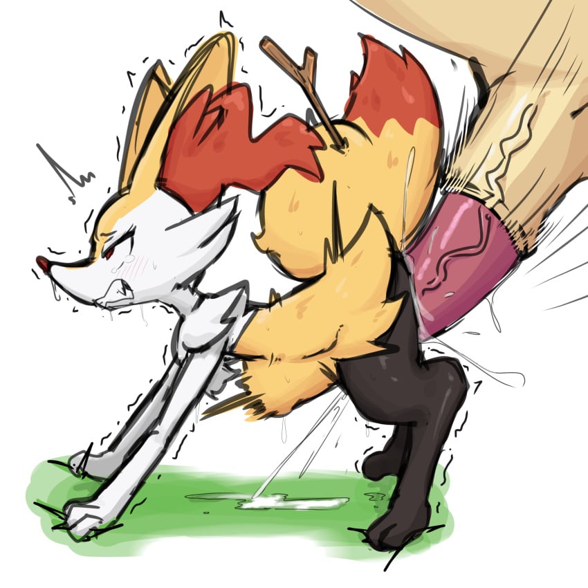 Braixen (Nintendo) Rule 34 Image