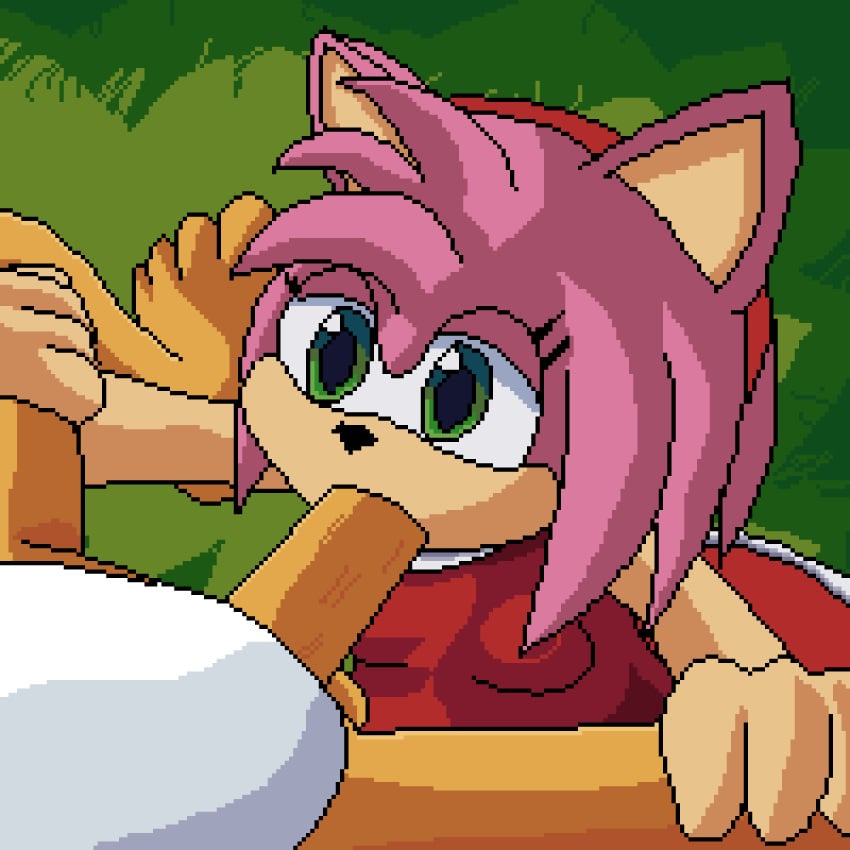 amy_rose animated anthro balls clothing dress duo fellatio female fur genitals green_eyes hair hi_res lawealewd male male/female oral penile penis sega sex sonic_(series) sonic_the_hedgehog_(series) sucking tails_the_fox