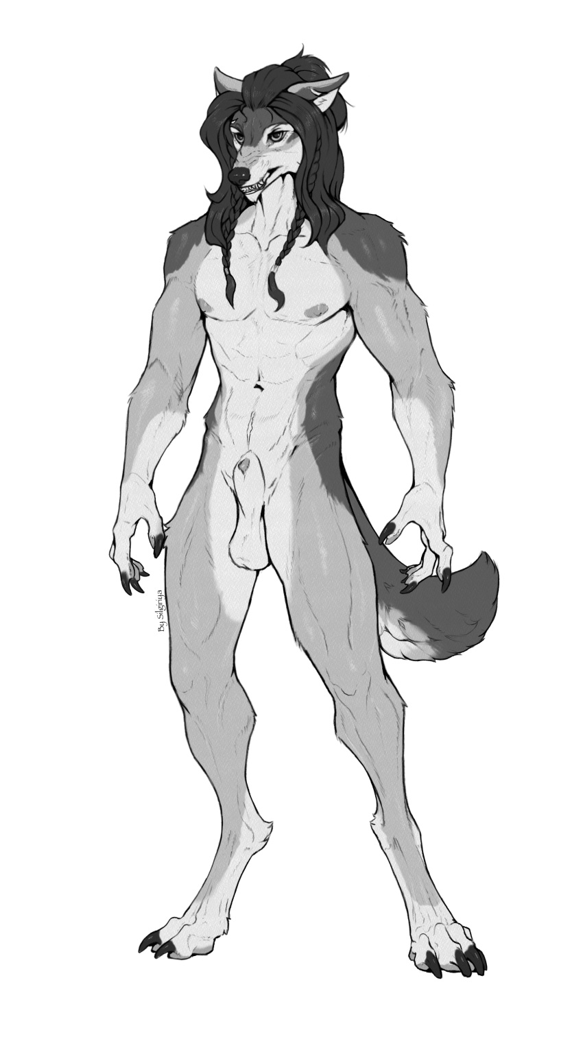 absurd_res animal_genitalia anthro braided_hair canid canine canis claws genitals grey_rivers hair hi_res male mammal nipples penis poking_out scar sheath silgiriya_mantsugosi snarling solo standing teeth wolf