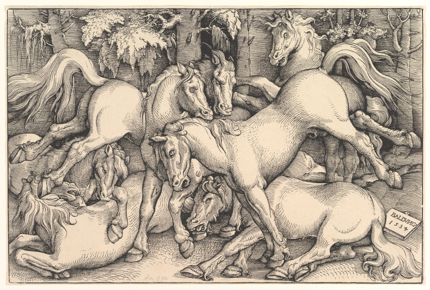 1534 absurd_res animal_genitalia ass balls bite border equine female feral fight fine_art flehmen forest grass greyscale group hans_baldung_grien hi_res hooves horse kick lying male mammal monochrome nude on_hind_legs open_mouth outside penis public_domain raised_tail renaissance sheath signature standing straight teeth tongue tongue_out traditional_media_(artwork) tree underhoof woodcut