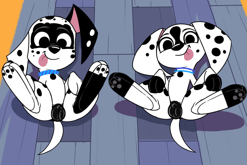 101_dalmatian_street 101_dalmatians 3:2 anatomically_correct animal_genitalia animal_pussy black_fur canid canine canine_pussy canis collar dalmatian dee_dee_(101_dalmatians) disney dizzy_(101_dalmatians) domestic_dog female feral fur hi_res hypergal mammal multicolored_fur pussy spots tongue tongue_out two_tone_fur white_fur