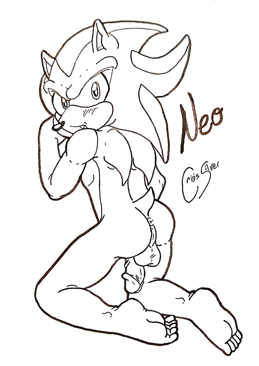 Shadow The Hedgehog (Sonic (Series)) Rule 34 Image