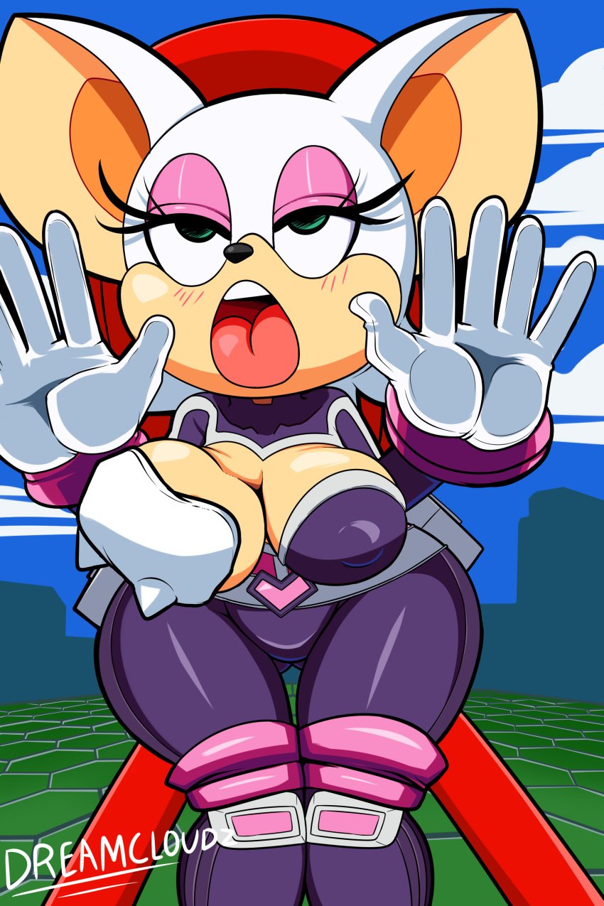 ahe_gao bat big_breasts breasts cloudz echidna female fondling hedgehog huge_breasts knuckles_the_echidna looking_pleasured male mammal monotreme rouge_the_bat rouge_the_bat_(heroes) sonic_(series) sonic_heroes superbunnygt