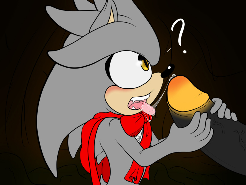 Silver The Hedgehog (Sonic (Series)) Rule 34 Image
