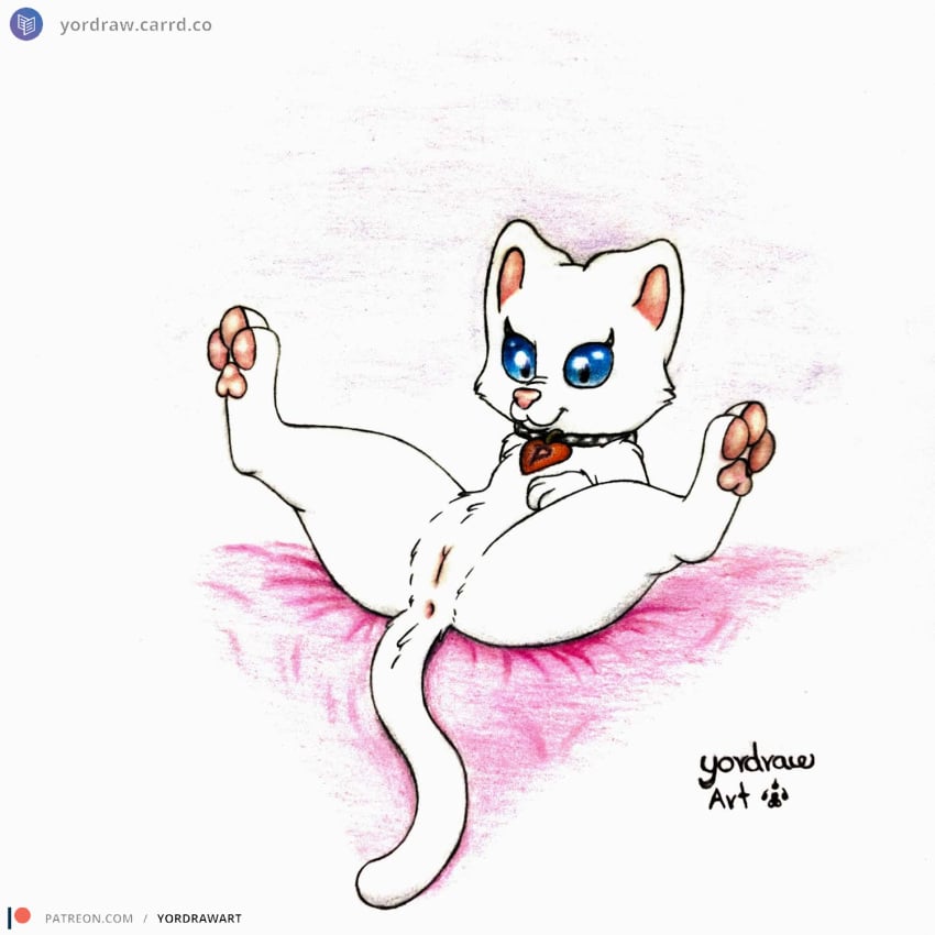 3_toes anus bed blue_eyes collar domestic_cat feet felid feline felis female feral foot_fetish fur furniture genitals hi_res legs_up lying lying_on_bed mammal on_back on_bed patreon patreon_logo patreon_username pawpads paws pink_nose pink_pawpads pink_pussy presenting presenting_pussy pussy pussycat_tiger smile solo spread_legs spreading text toes traditional_media_(artwork) url white_body white_fur yordraw