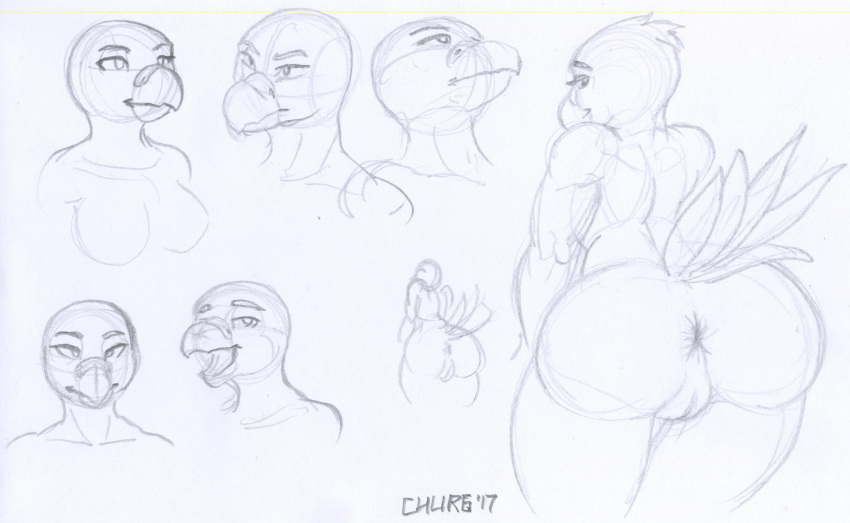 2017 anthro anus ass avian bird churgethoth delta_the_conure female looking_back monochrome nude open_mouth parrot presenting pussy rule_63 simple_background sketch standing white_background