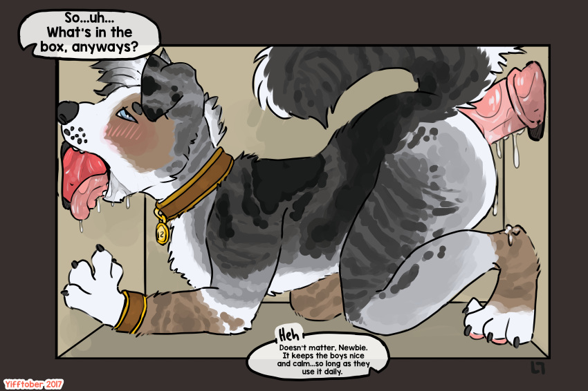 absurd_res ambiguous_gender anthro anthro_only blowjob canine collar cum equine fellatio glory_hole group group_sex hi_res lustylamb mammal oral sex sex_box spitroast tongue tongue_out tongue_out_blowjob zoophilia