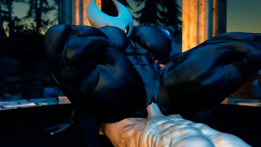 Hollow Knight (Franchise) Rule 34 Image