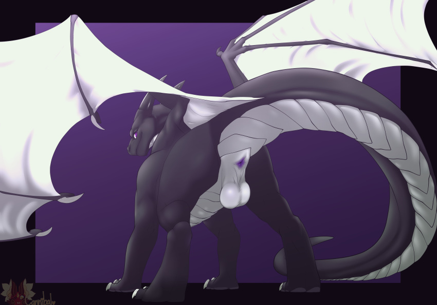 >:) 2017 absurd_res anus balls black_border black_skin border cannibalistic_tendencies ciradis claws dragon feral hi_res horn looking_back male male_only membranous_wings outside_border purple_anus purple_background purple_eyes quadruped raised_tail rear_view scales scalie simple_background smaller_version_at_source smile solo spread_wings standing watermark western_dragon white_balls white_scales white_skin wings