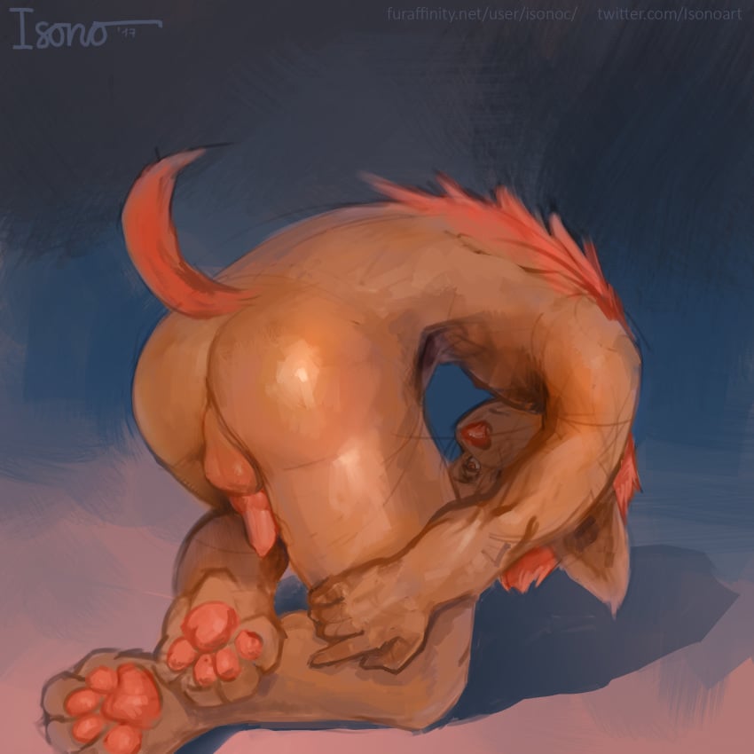 animal_genitalia animal_penis anthro ass balls canine_penis feet gay hi_res isono knot male paws penis