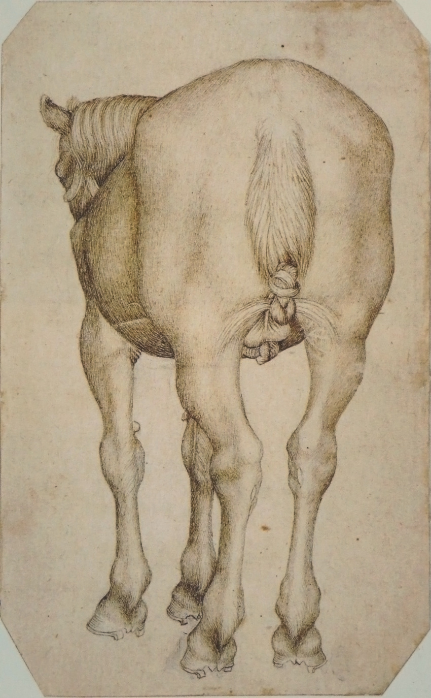 1438 15th_century anatomy ass balls equine feral fine_art full-length_portrait fur hi_res horse horseshoe male mammal pen_(artwork) perspective pisanello portrait public_domain rear_view renaissance simple_background solo tail_knot traditional_media_(artwork)