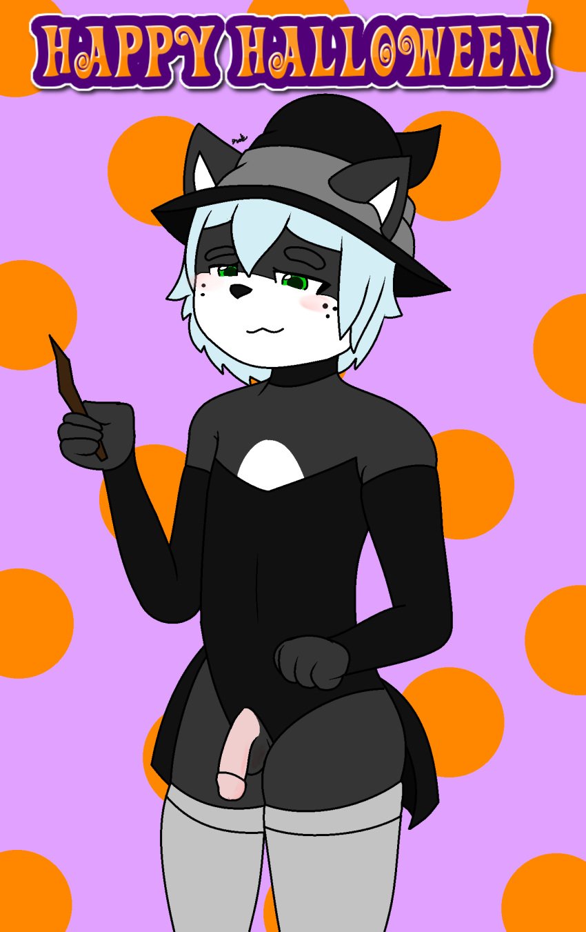 anthro balls crossdressing feline girly half-erect halloween holidays humanoid_penis justine magic_user male male_only mammal natethecat24 penis witch