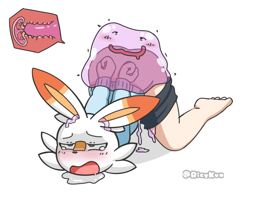 Ditto (Pokemon) Rule 34 Image