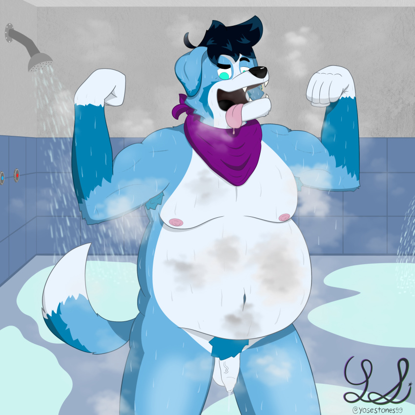 absurd_res anthro belly bernese_mountain_dog big_ears bodily_fluids canid canine canis domestic_dog ear_piercing flaccid flexing flexing_bicep flexing_both_biceps genital_fluids genitals handkerchief hi_res kerchief leaking_precum male male/male mammal molosser mountain_dog muscular nipples penis piercing precum rookie_heartblue showers slightly_chubby solo steam steaming_body sweat sweatdrop swiss_mountain_dog teeth tongue tongue_out vein veiny_penis yose_stones